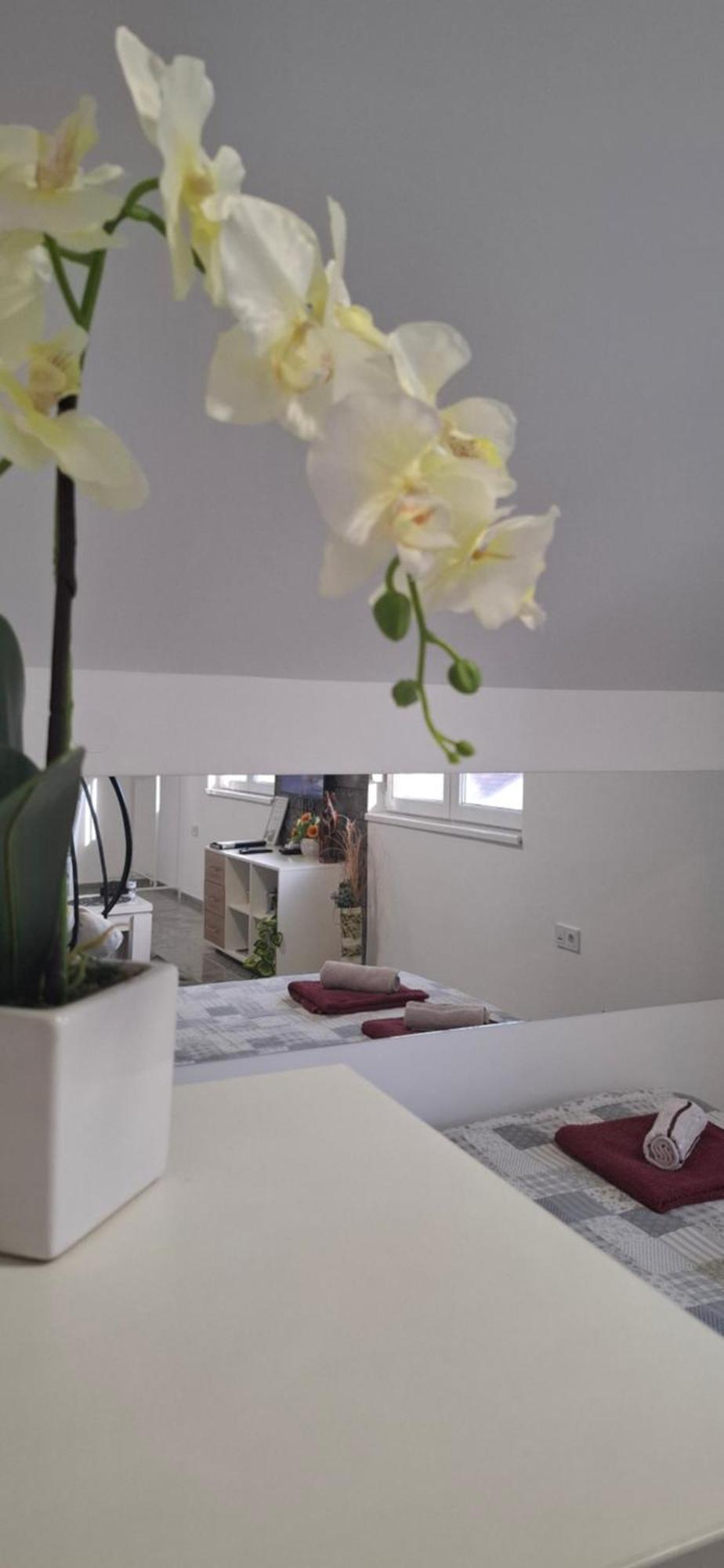Apartments Ivanovic Center City บายินา บาชตา ภายนอก รูปภาพ