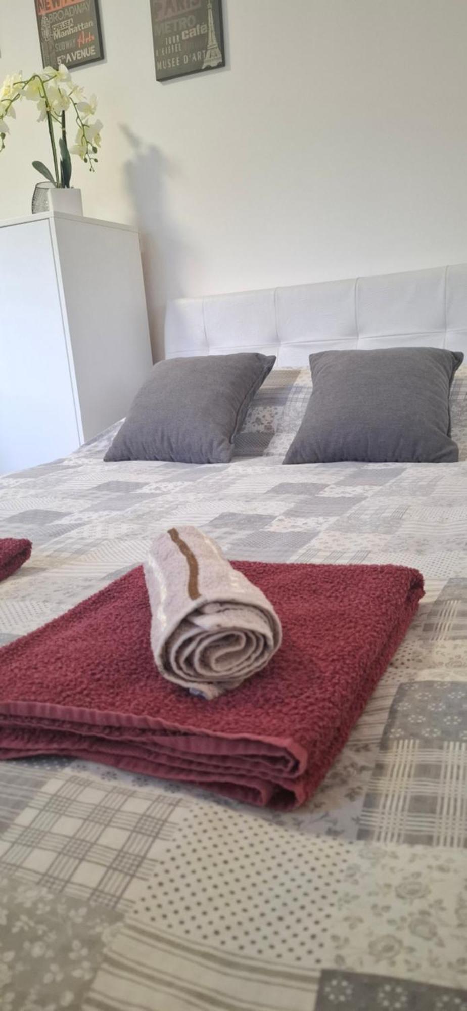Apartments Ivanovic Center City บายินา บาชตา ภายนอก รูปภาพ